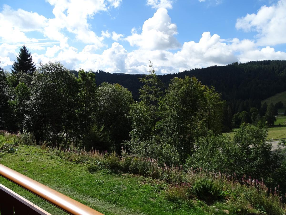 Bed and Breakfast 'S Jaegermatt à Feldberg  Extérieur photo